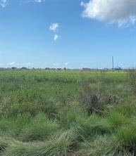 Photo of 0 Oceania Street, Bay City, TX 77414 (MLS # 60227837)