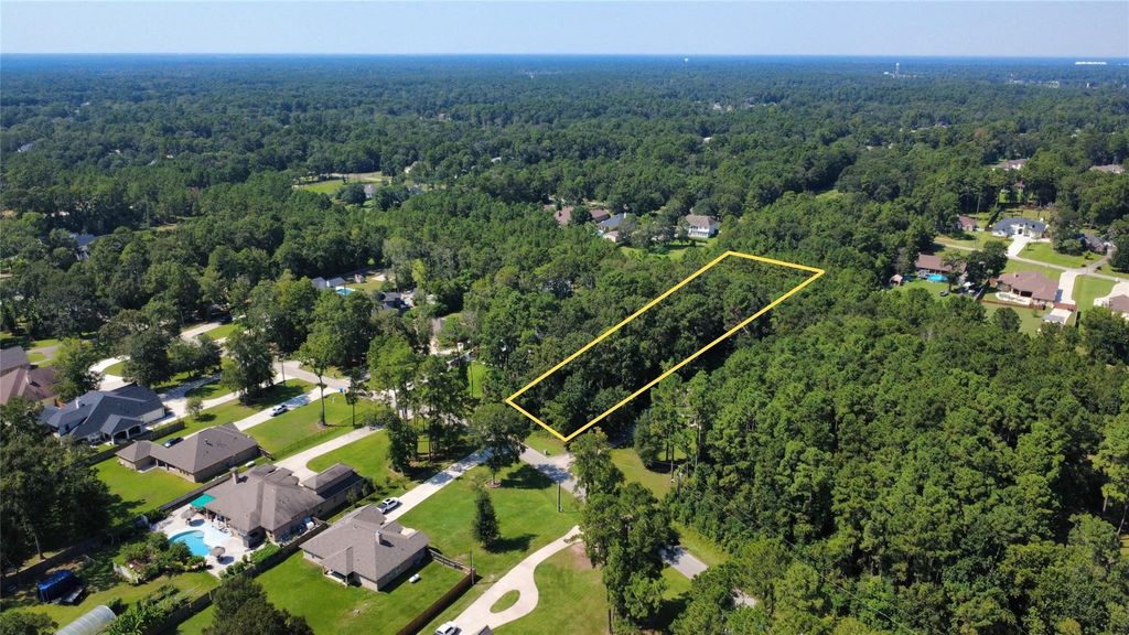 Photo of 19541 Desna Drive, Porter, TX 77365 (MLS # 53387104)