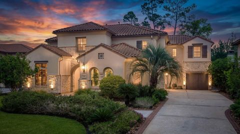 14 N Shasta Bend Circle The Woodlands TX 77389