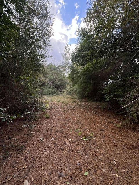 Vacant Land For Sale - 15121 Hwy 87 N<br/> Kirbyville, TX 75956