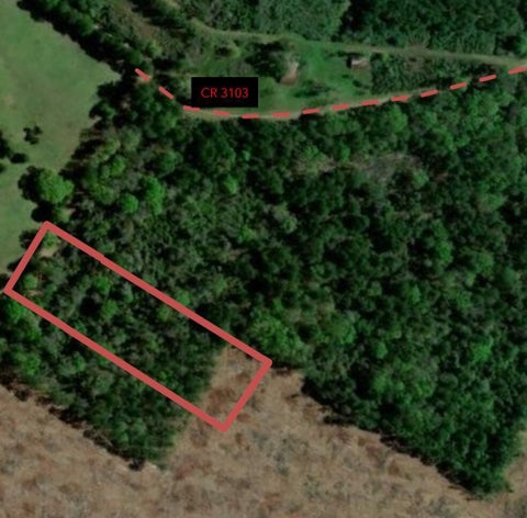 Photo of 3 County Road 3103, Call, TX 75933 (MLS # 9115050)