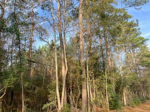 Vacant Land For Sale - 6 Tall Cotton Road<br/> Hardin County, Saratoga, TX 77585