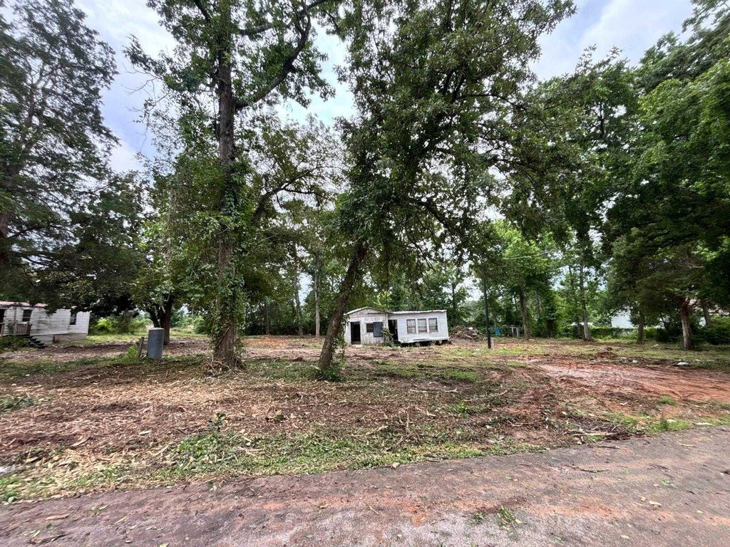 Photo of 19875 Ava Lane, Montgomery, TX 77316 (MLS # 86806927)