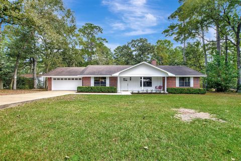 Photo of 18742 Mink Lake Drive, Magnolia, TX 77355 (MLS # 74539360)