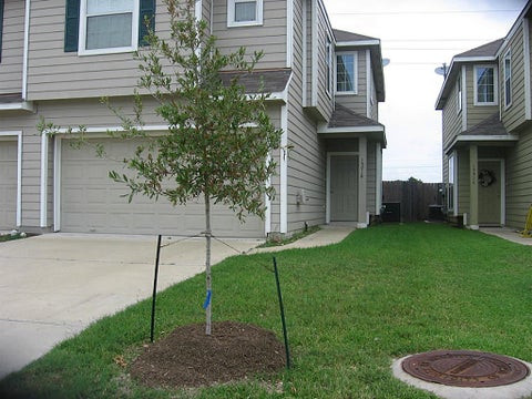Townhouse For Rent - 15918 Langhamwood Lane<br/> Houston, TX 77084