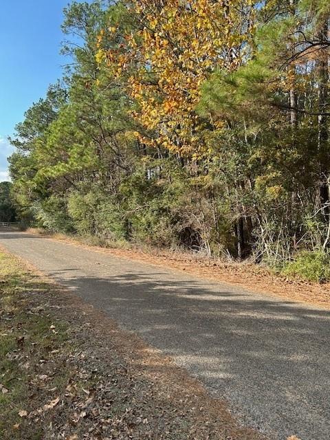 Photo of 0 Cathey Lane, Navasota, TX 77868 (MLS # 34863955)