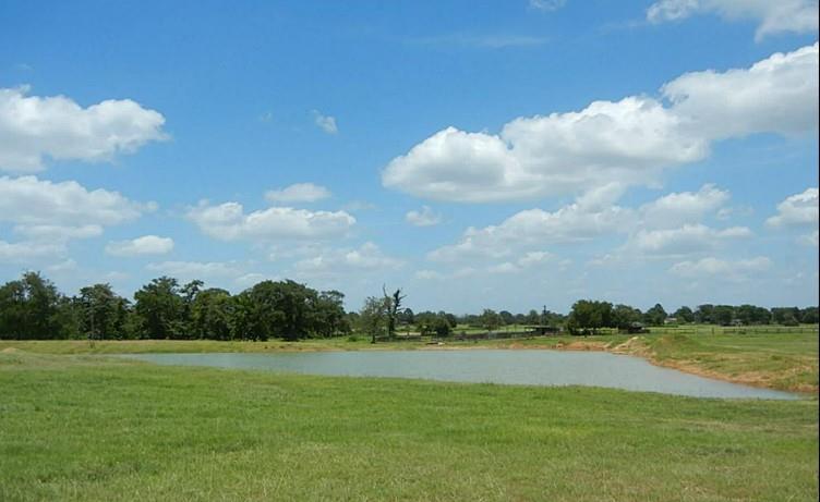 27185 Muckelroy Road