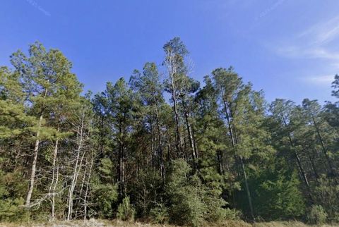 Photo of 52 Charming Homestead Way, New Waverly, TX 77358 (MLS # 38193027)