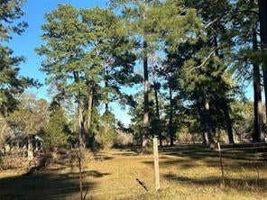 Vacant Land For Sale - 473 Marion Lane<br/> Walker County, New Waverly, TX 77358