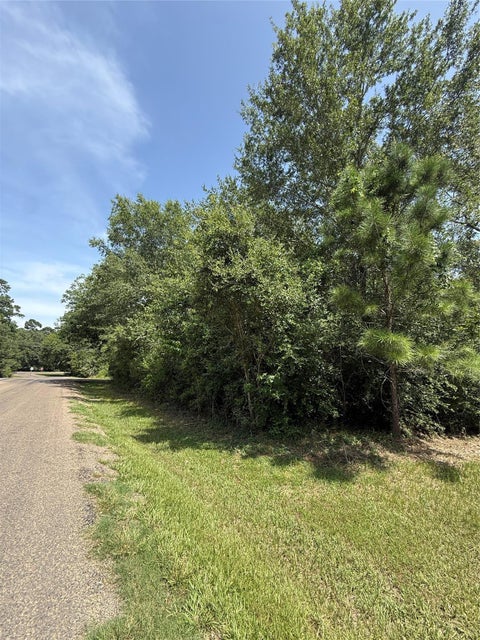 Photo of TBD Idlewilde, Onalaska, TX 77360 (MLS # 42868903)