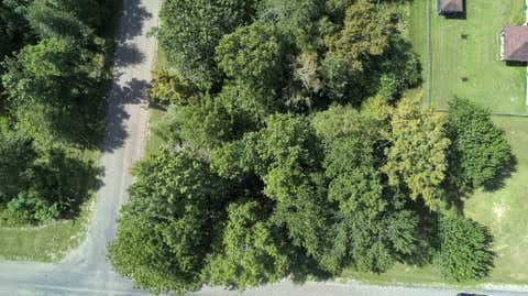 Photo of TBD Idlewilde, Onalaska, TX 77360 (MLS # 42868903)