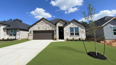Photo of 41030 Riverside Meadows Drive, Magnolia, TX 77354 (MLS # 64382565)