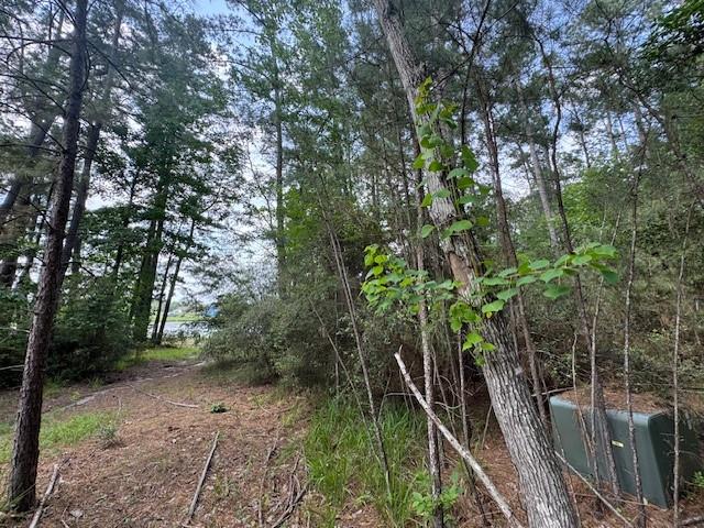 91 Meadow Lake Drive
