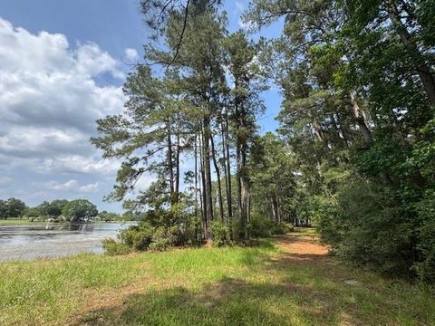 Photo of 91 Meadow Lake Drive, Trinity, TX 75862 (MLS # 53436846)