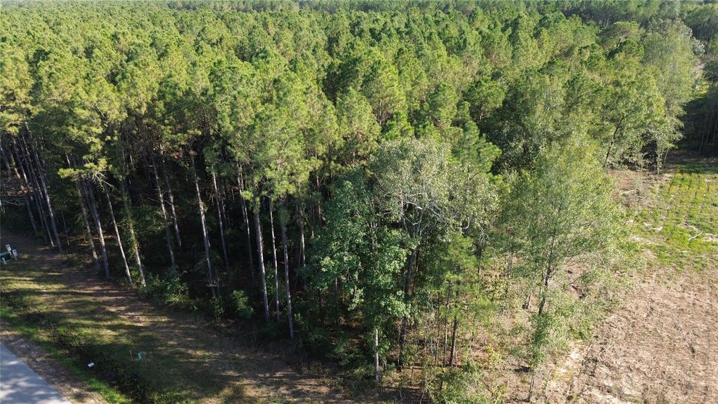 Photo of 1683 Road 66115, Dayton, TX 77535 (MLS # 13607364)