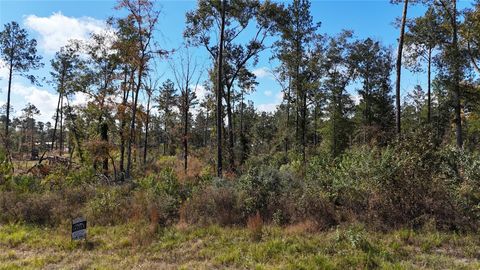 Photo of 7 Reveille Road, Livingston, TX 77351 (MLS # 21793307)