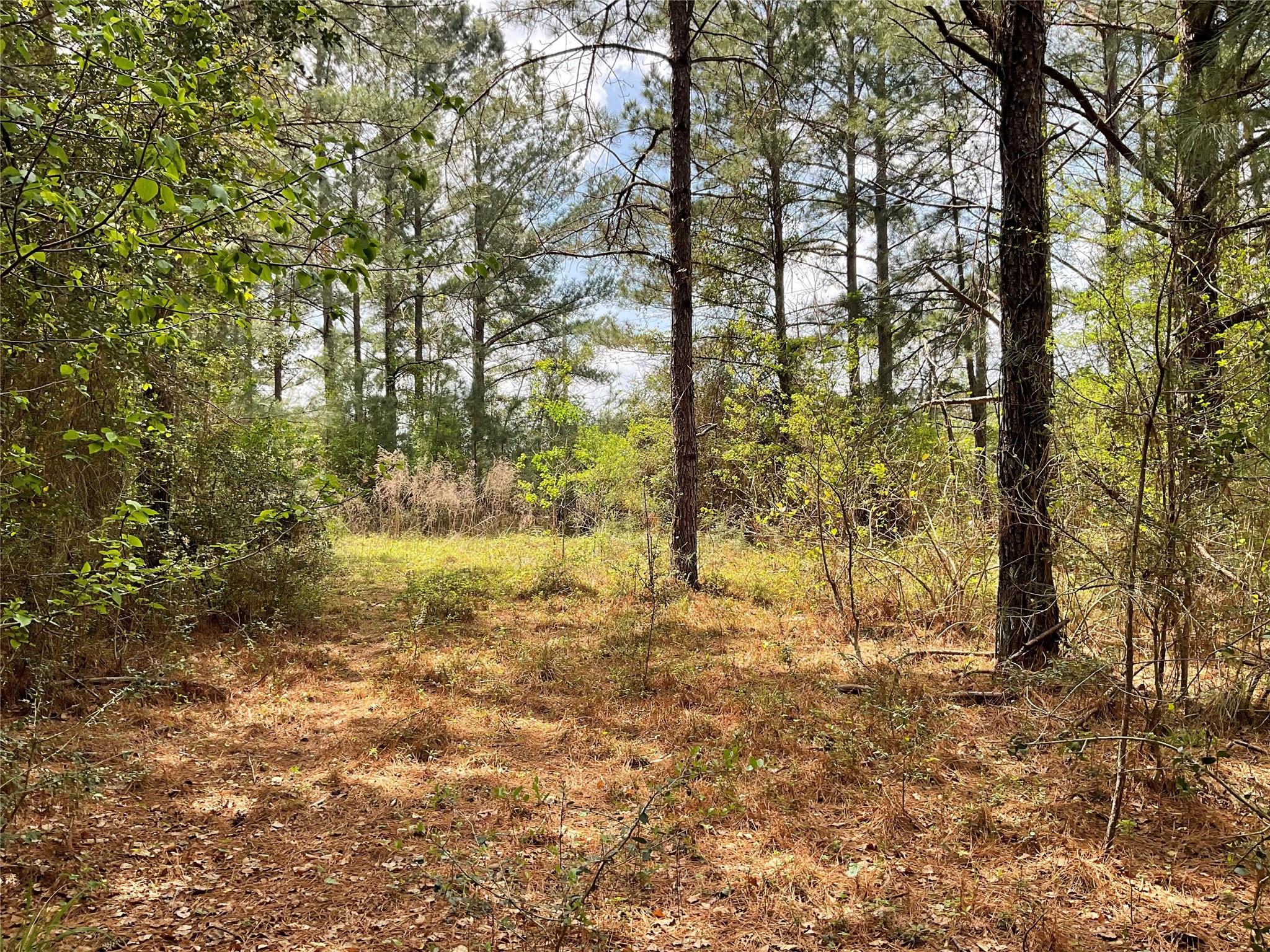 Lot 2B & 2C Fuller Springs Drive