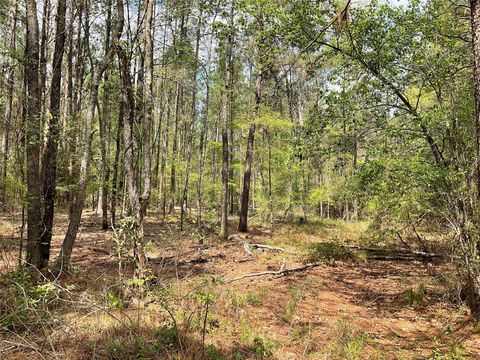 Lot 2B & 2C Fuller Springs Drive Lufkin TX 75901