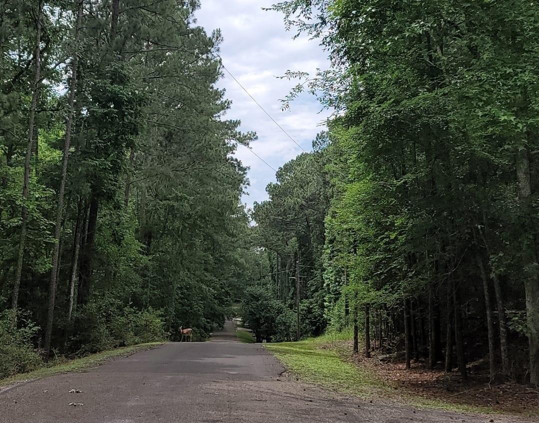 TBD Hickory Circle Circle