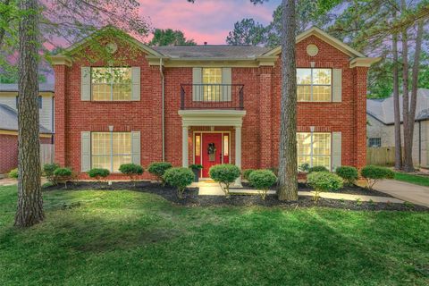 19 Greentwig Place Spring TX 77381