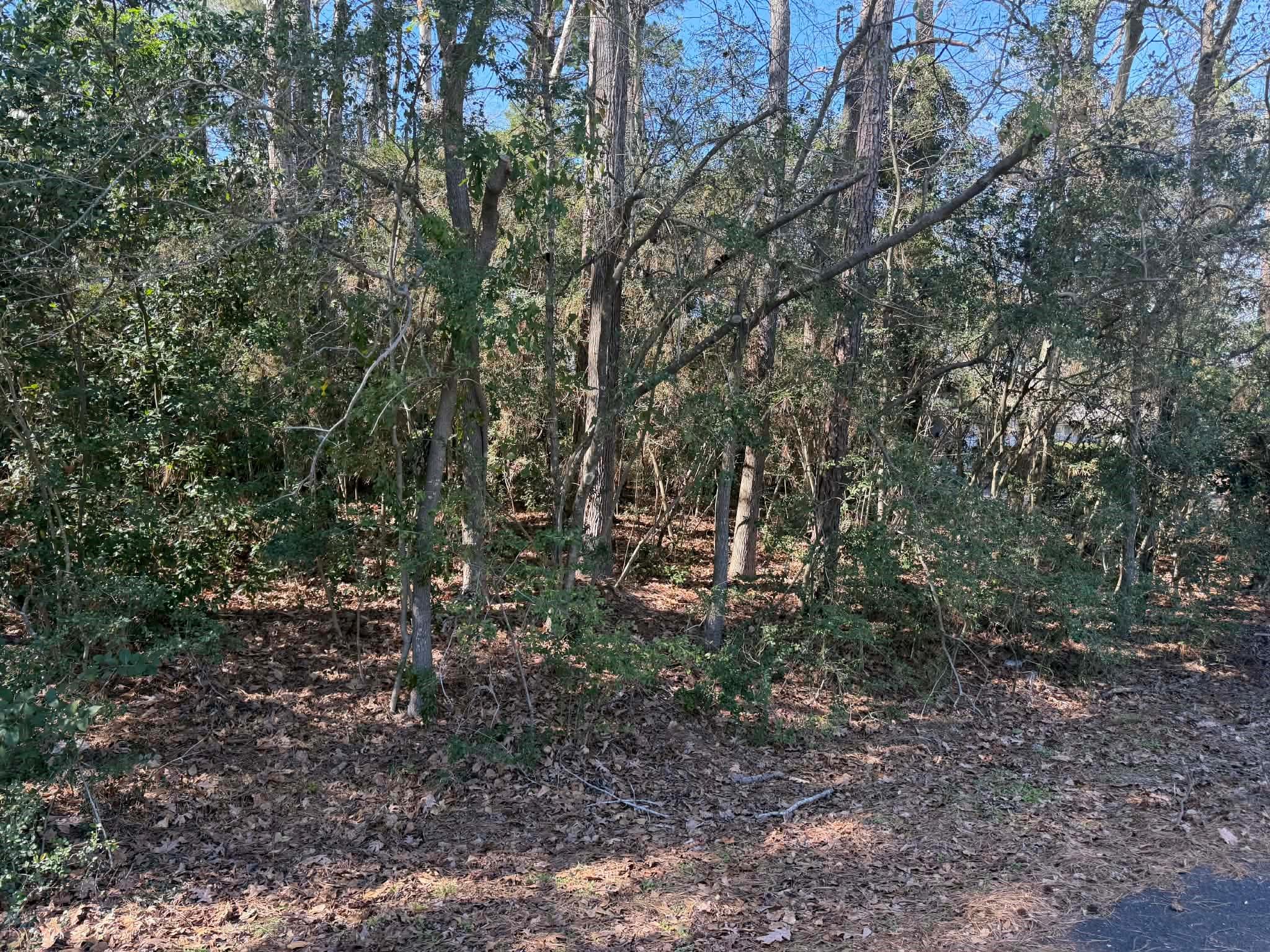 138 Paradise Valley Drive