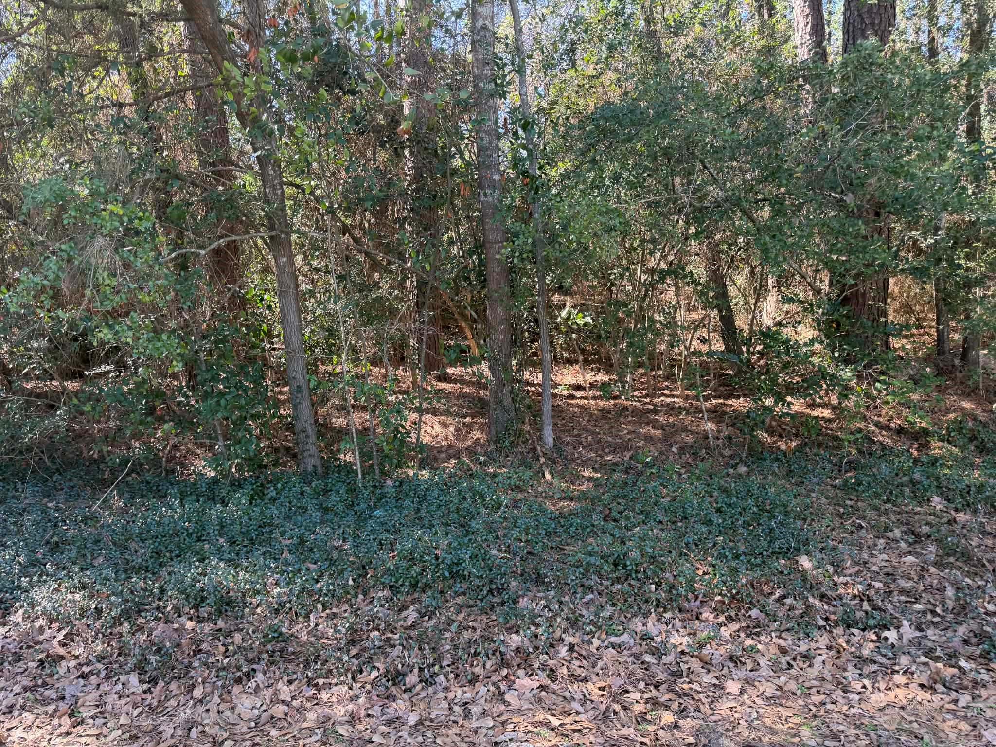 138 Paradise Valley Drive