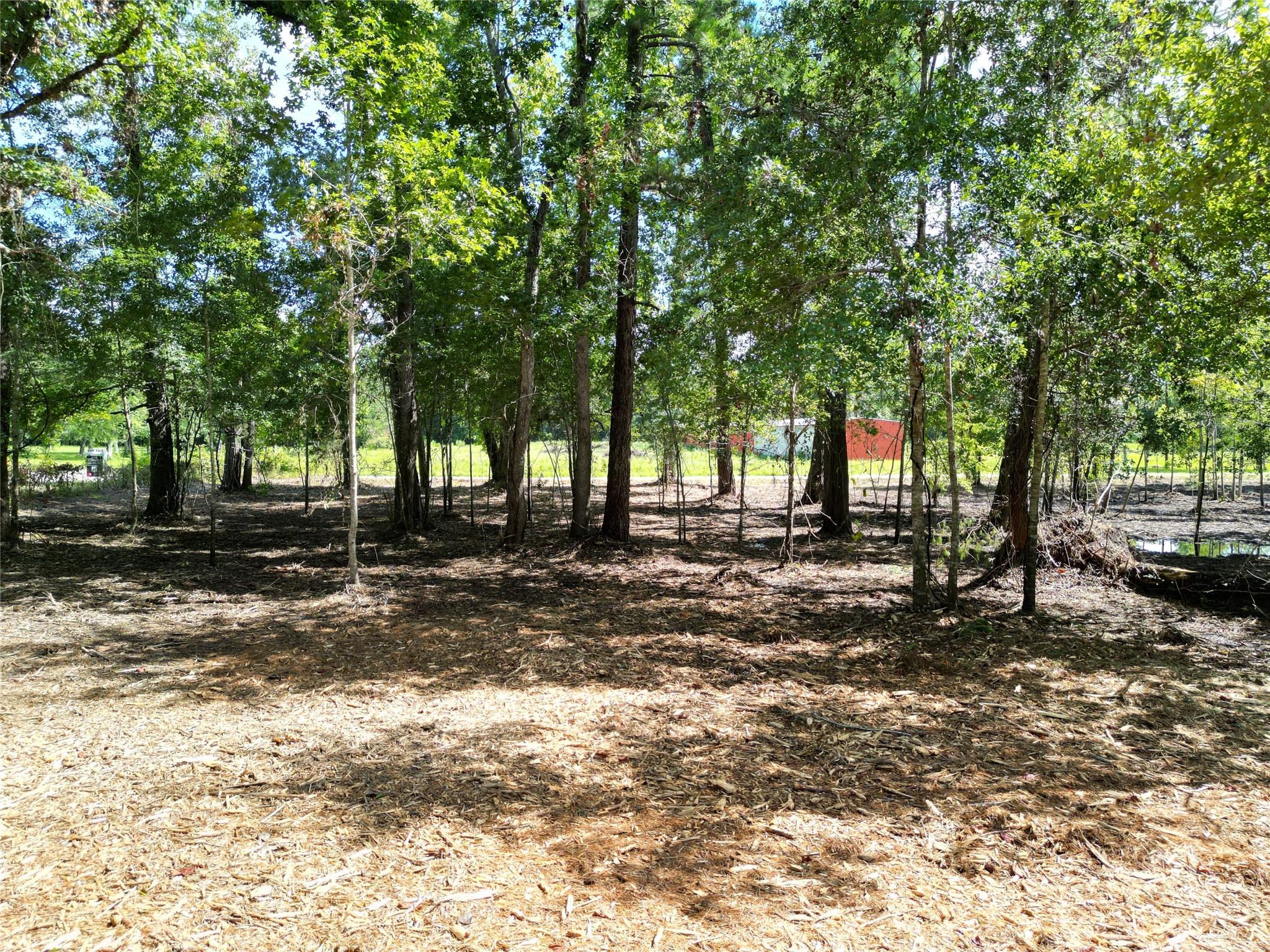 000 Red Oak Drive