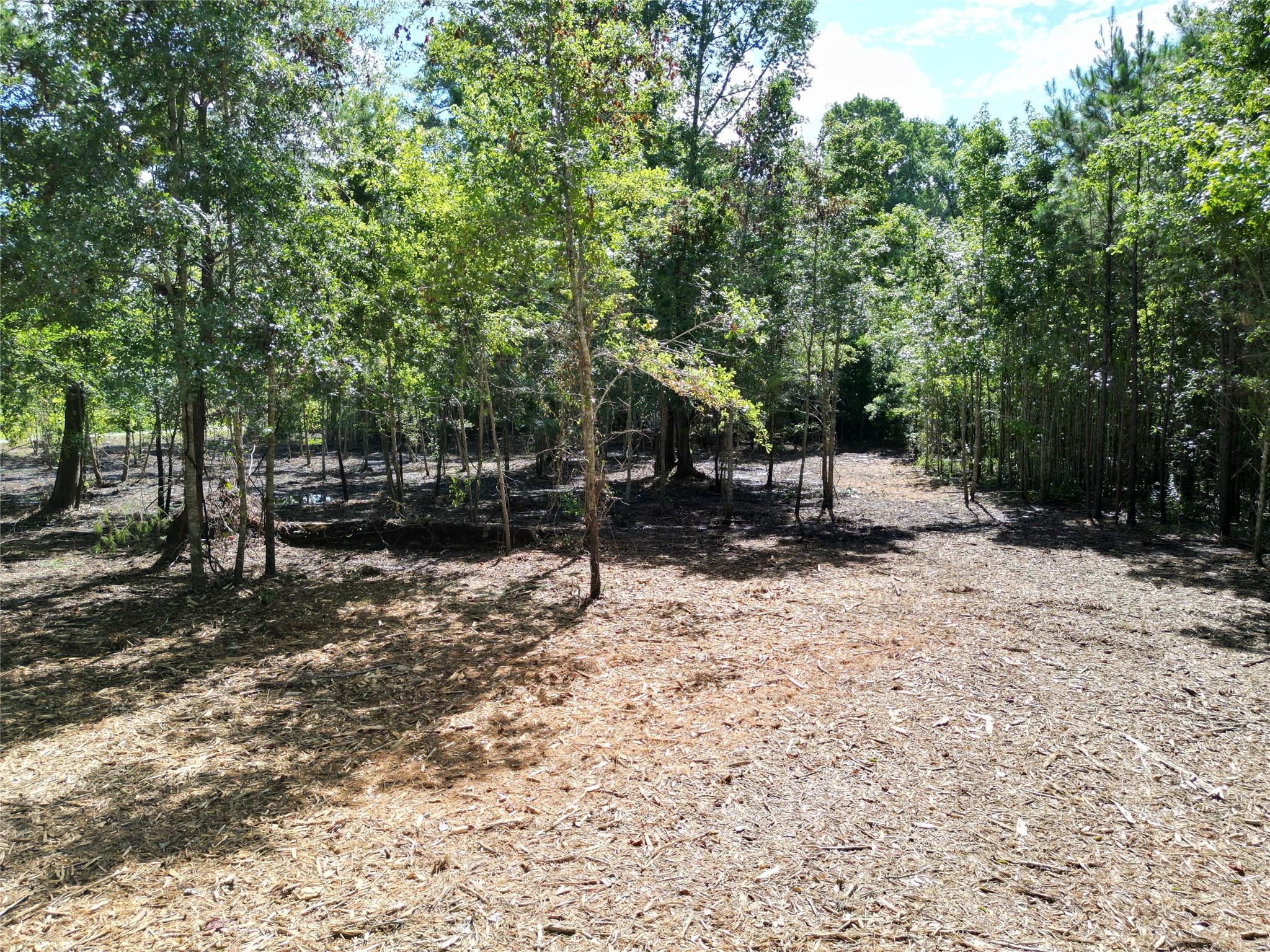 000 Red Oak Drive