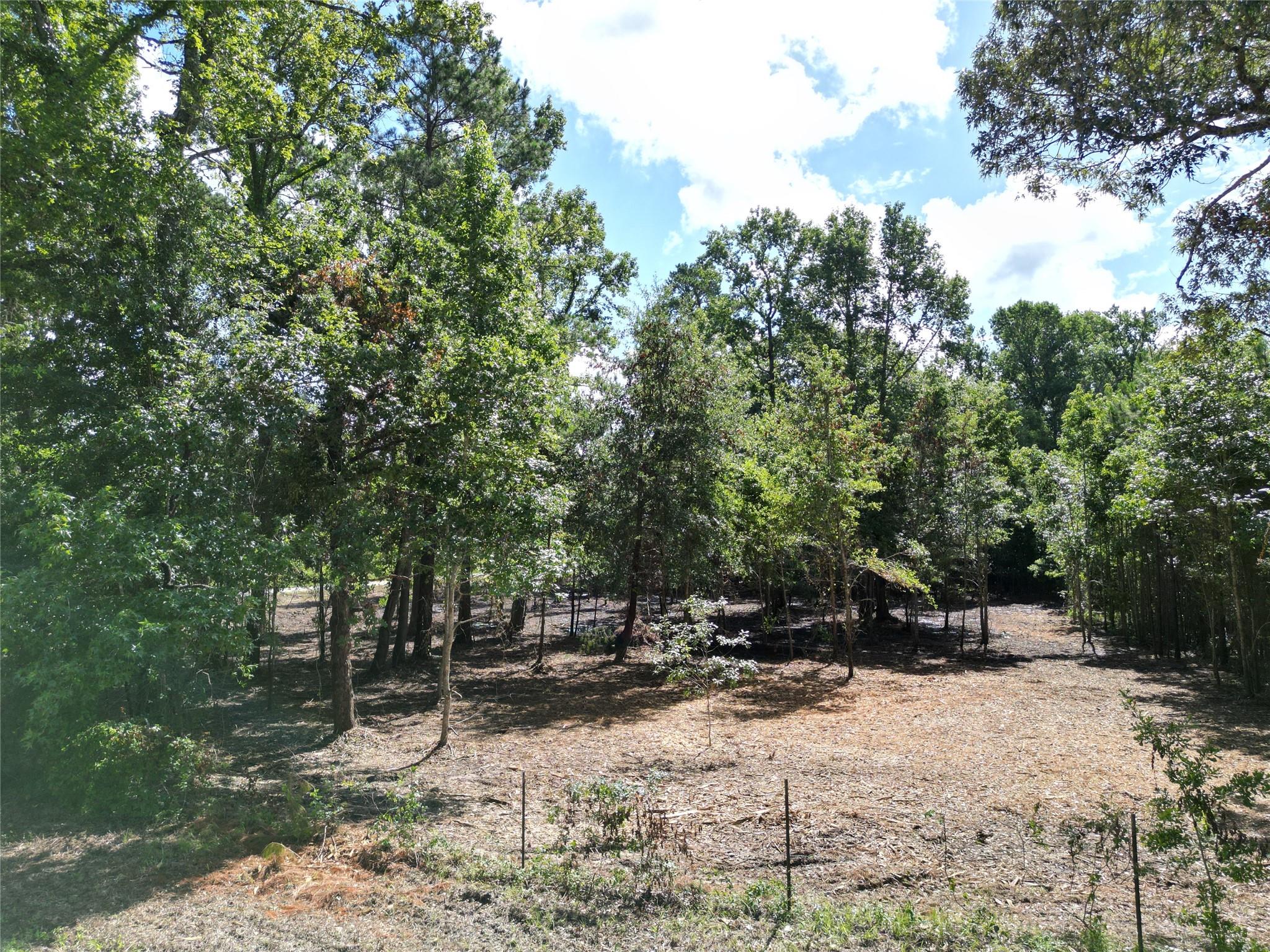 000 Red Oak Drive