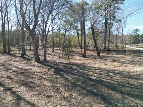 Photo of 0 Red Oak Drive, Plantersville, TX 77363 (MLS # 26394289)
