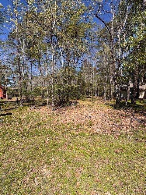 Photo of 11 Cherry Hills Drive, Coldspring, TX 77331 (MLS # 77662209)