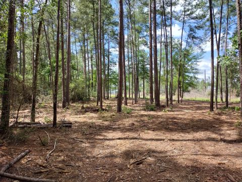 LOT 3 County Road 4025 Lovelady TX 75851