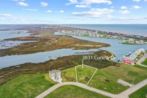 Photo of 3831 Curlew Drive, Galveston, TX 77554 (MLS # 62228887)