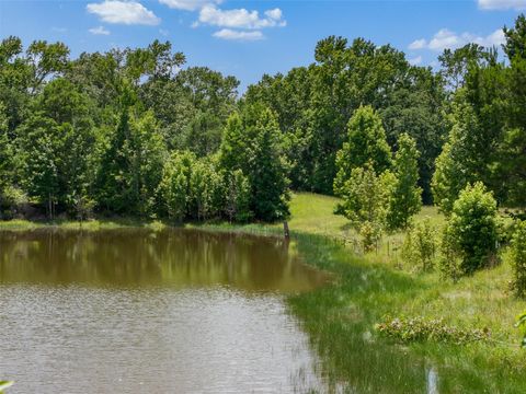 Photo of 17952 County Road 224, Oakwood, TX 75855 (MLS # 31215443)