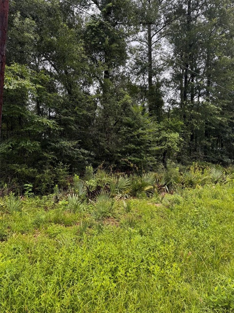 Vacant Land For Sale - 00 Juanita Lane<br/> Shepherd, TX 77371