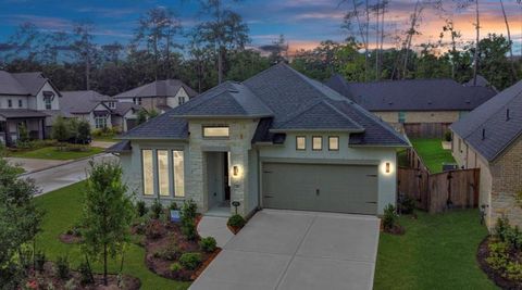 Photo of 210 West Netleaf Court, Montgomery, TX 77316 (MLS # 2728713)