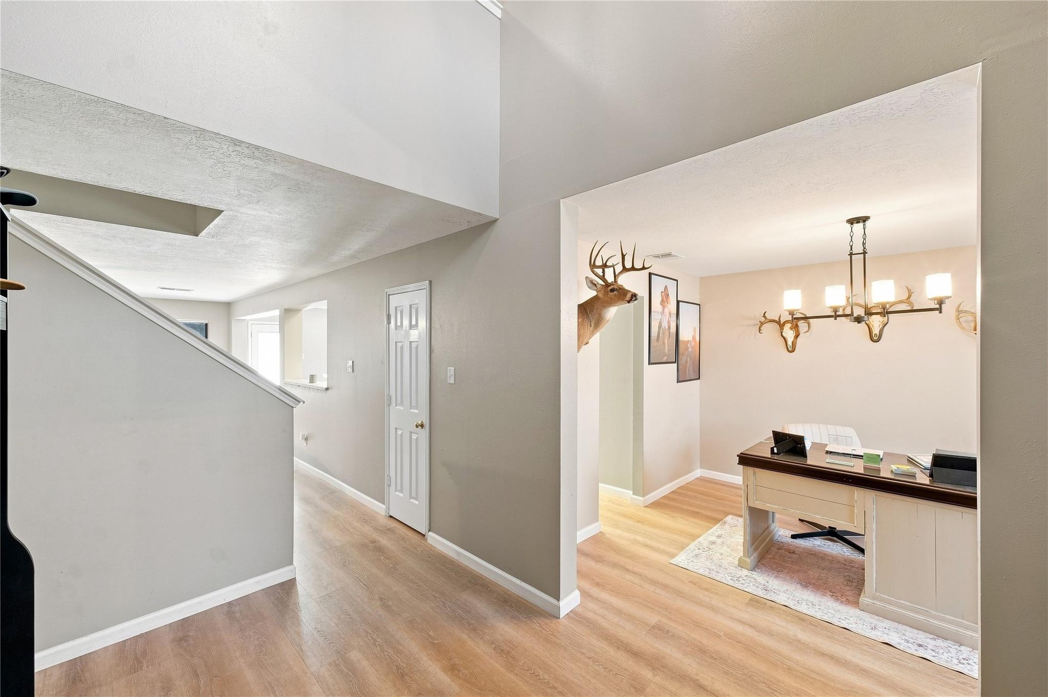 217 Fox Springs Court