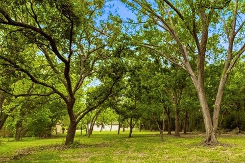 Tiny photo for 8414 Schiro Road, Hitchcock, TX 77563 (MLS # 29583243)