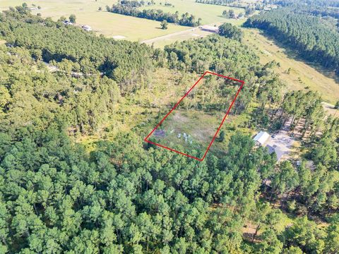 Vacant Land For Sale - 211 Thomas Windt Road<br/> Shepherd, TX 77371