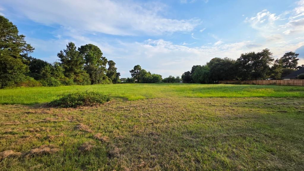 Photo of 0 La Fouche Drive, Tomball, TX 77377 (MLS # 56984037)