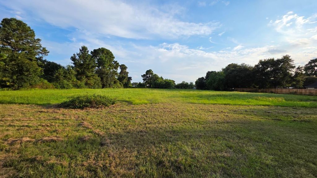 Photo of 0 La Fouche Drive, Tomball, TX 77377 (MLS # 56984037)