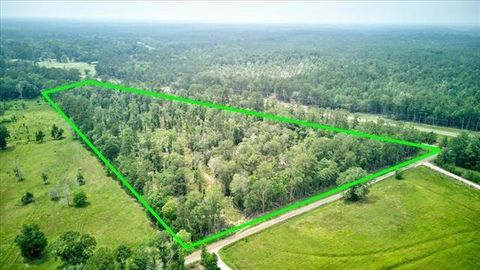 Photo of 254 County Road 3063, Kirbyville, TX 75956 (MLS # 21605490)
