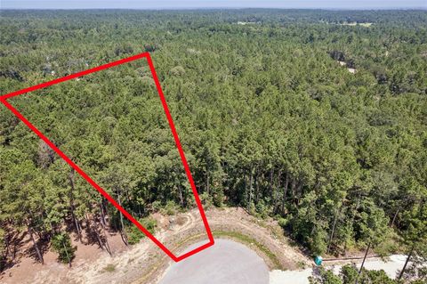 Photo of 25316 High Meadow Drive W, Montgomery, TX 77316 (MLS # 21473881)