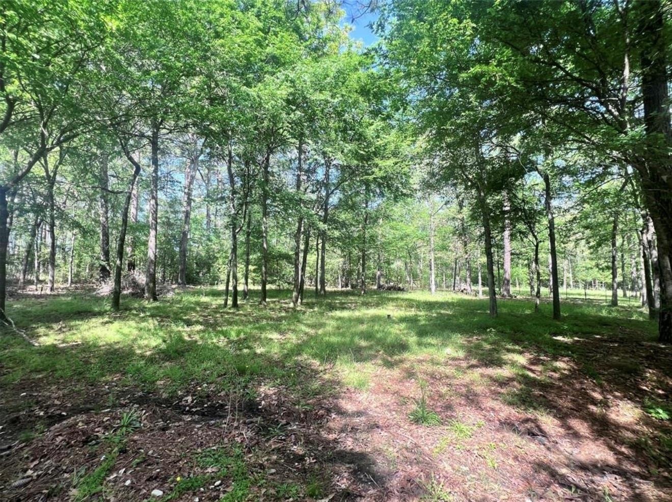 124 Magnolia Lane