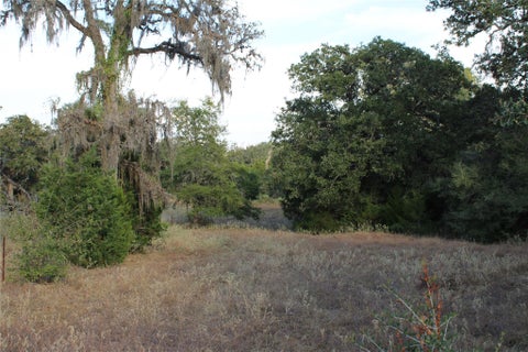 Photo of TBD Parcel 4 Lobo Lane, Columbus, TX 78934 (MLS # 77573794)