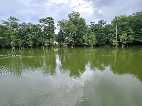 Photo of 403 403 County Road 2869, Cleveland, TX 77327 (MLS # 82993105)