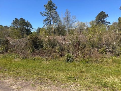 Vacant Land For Sale - Dottie Lane<br/> Shepherd, TX 77371