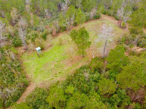 Vacant Land For Sale - 2845 County Road<br/> Colmesneil, TX 75938