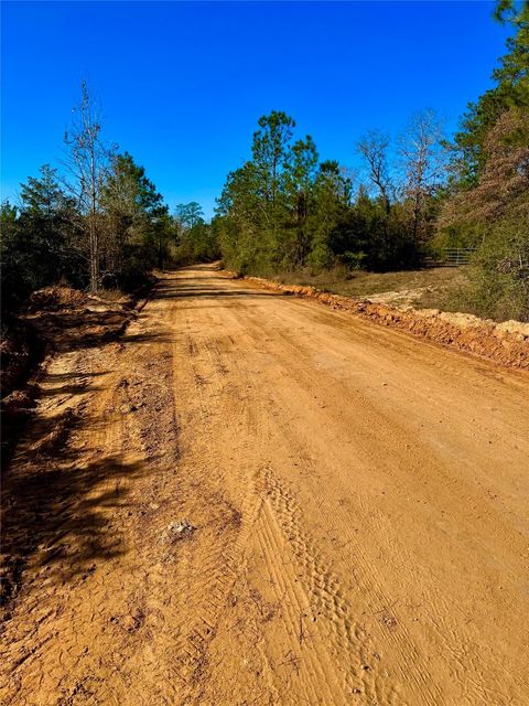 Vacant Land For Sale - 2845 County Road<br/> Colmesneil, TX 75938