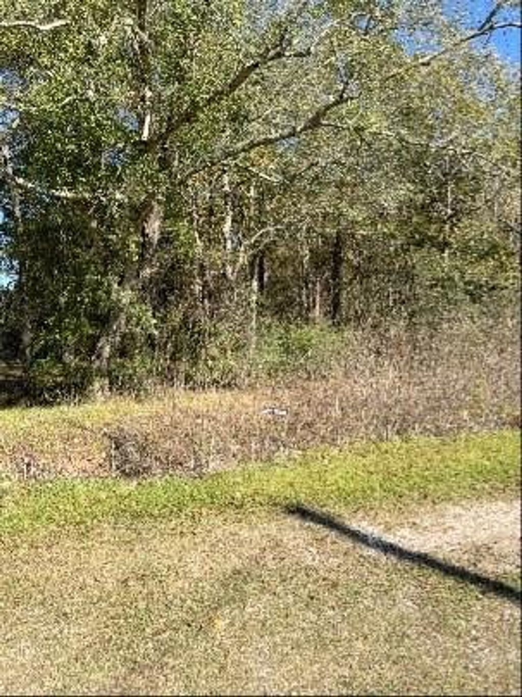 Photo of 0 Bell Road, Batson, TX 77519 (MLS # 85442723)